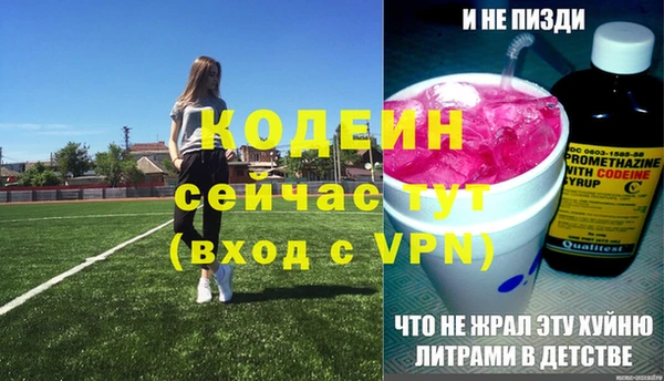 хмурый Богородицк