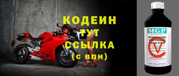 гидра Богданович