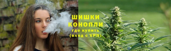 хмурый Богородицк