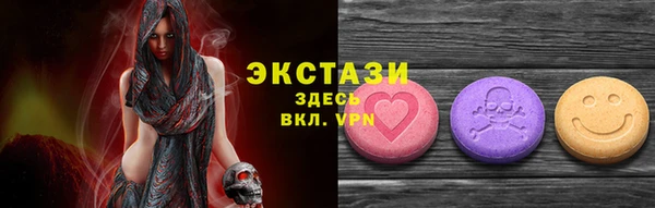 гидра Богданович