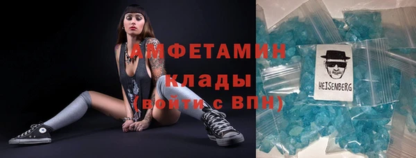 гидра Богданович
