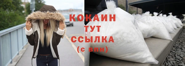 гидра Богданович