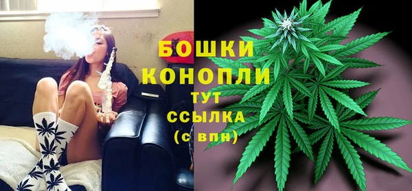 ПСИЛОЦИБИНОВЫЕ ГРИБЫ Покровск
