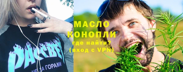 мдпв Богородск
