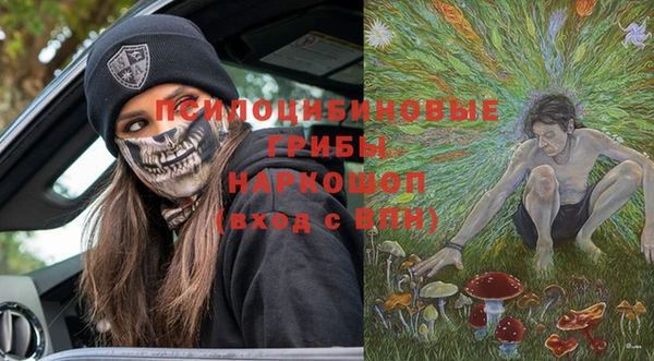 хмурый Богородицк
