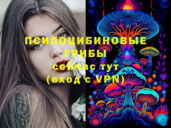 гидра Богданович